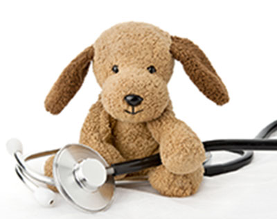SDog-with-Stethoscope-Home-Page-Photo